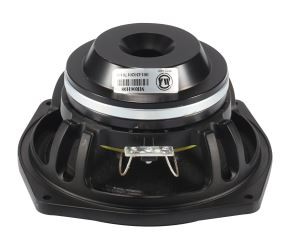 6.5 ইঞ্চি নিওবিয়ামিয়াম মিডরেঞ্জ গাড়ি স্পিকার